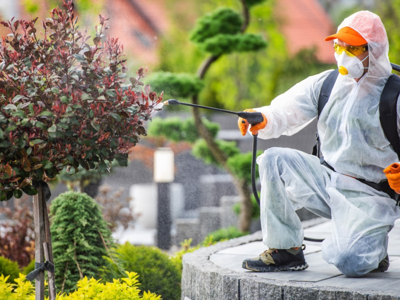 Nilüfer Haşere İlaçlama